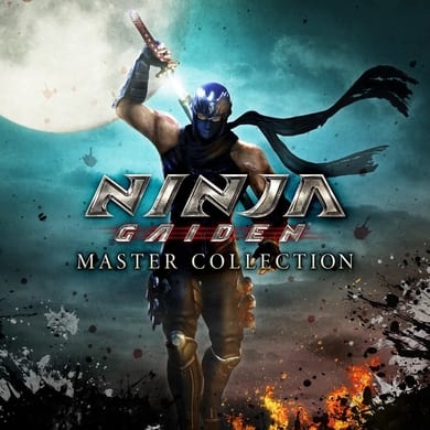 image-of-ninja-gaiden-master-collection-ngnl.ir